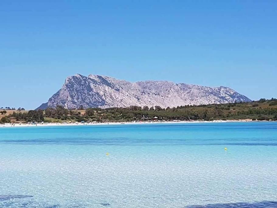 Amazing House 10 Min By Car From The Beach Olbia Ngoại thất bức ảnh