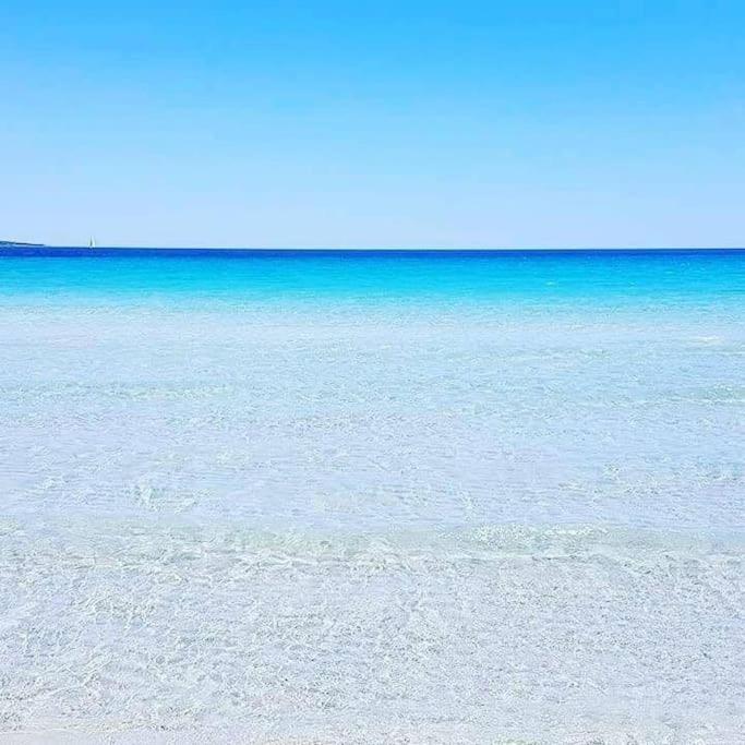 Amazing House 10 Min By Car From The Beach Olbia Ngoại thất bức ảnh