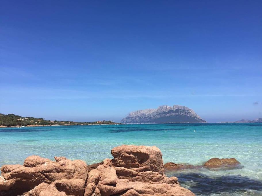 Amazing House 10 Min By Car From The Beach Olbia Ngoại thất bức ảnh