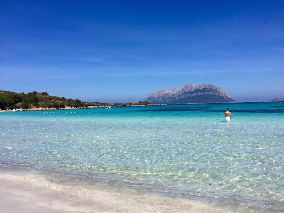 Amazing House 10 Min By Car From The Beach Olbia Ngoại thất bức ảnh